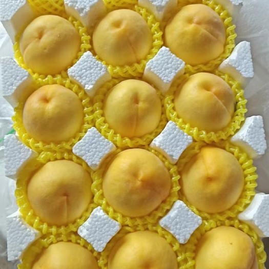 平邑县蒙阴黄桃