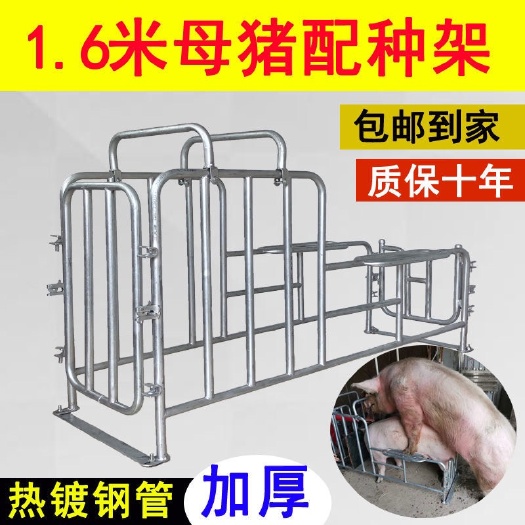 长沙母猪配种架爬猪架假母台小母猪配种设备采精架猪用配种器配猪架子