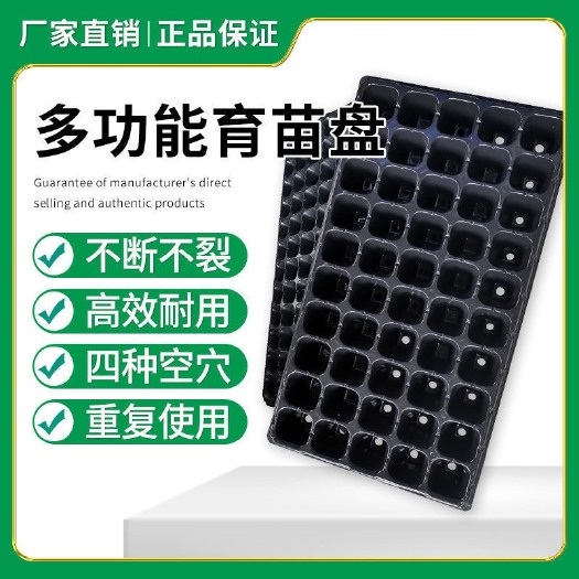 莘县育苗盘穴盘育苗托盘营养钵蔬菜多肉育种扦插盒营养钵育秧蔬菜育苗