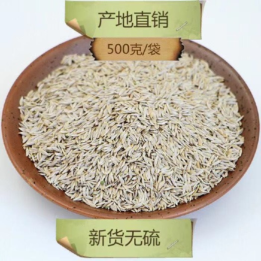 长沙玻璃生菜种子四季播大速生菜种籽生吃阳台盆栽蔬菜种孑脆嫩青菜籽
