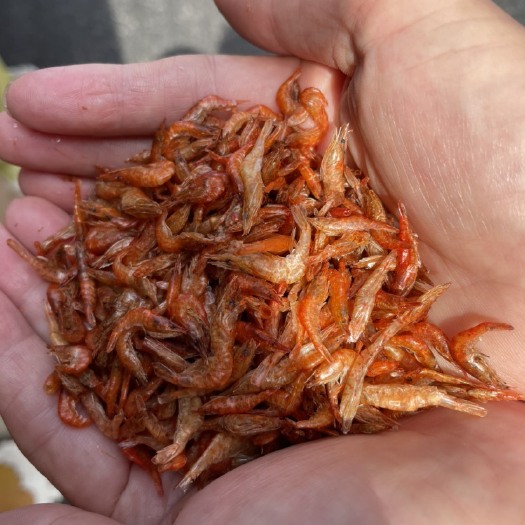 长沙草虾干红虾干虾米