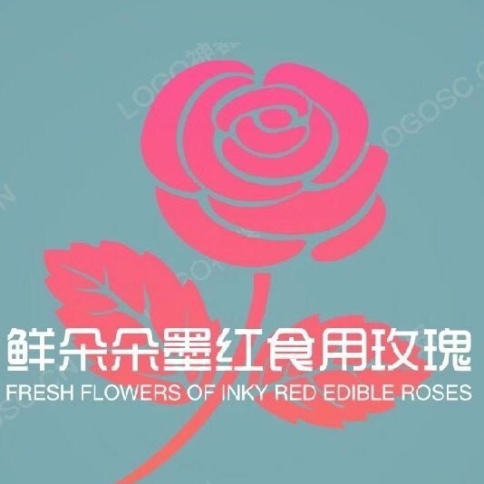 云南高原露田墨紅玫瑰