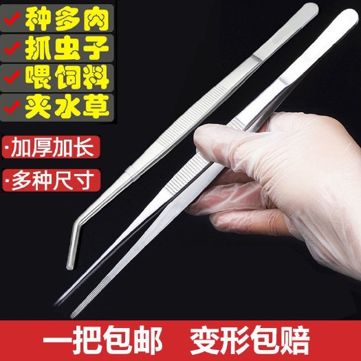 长沙不锈钢镊子种多肉鱼缸水草夹子动物喂食镊子304医用敷料工具镊