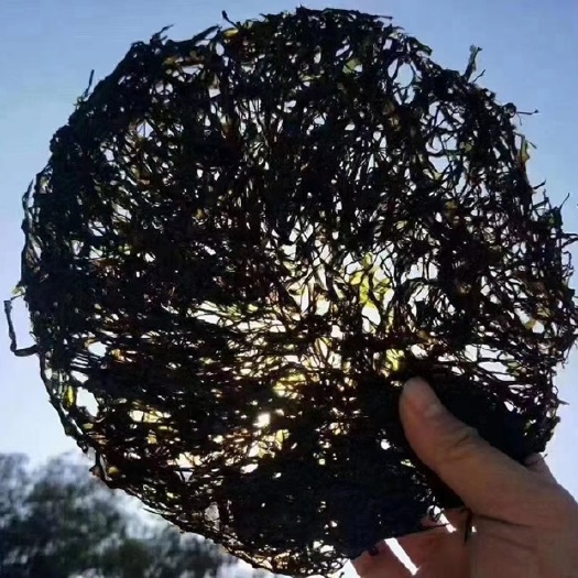 东山亲营头水紫菜 福建紫菜干 免洗无沙包邮 头茬紫菜非霞浦