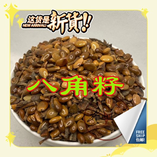 容县广西批发大红八角籽大料籽大茴籽调味火锅料中药材香料用不做种子