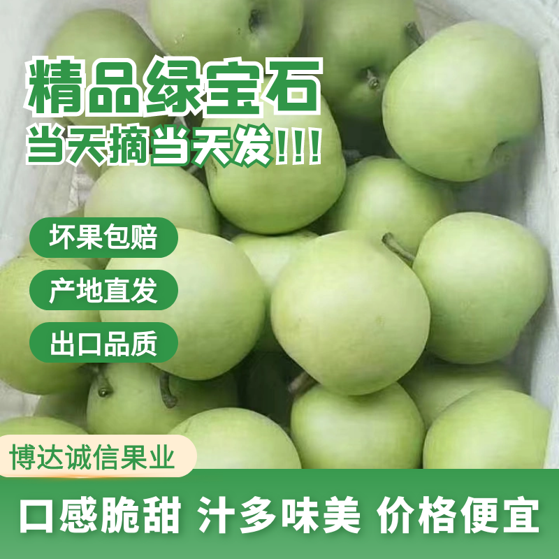 赵县绿宝石 鲜梨大量上市 口感脆甜 汁水丰富货源 充足