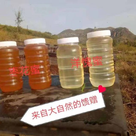 桐城市正宗洋愧蜜，假一赔万，波美度41以上