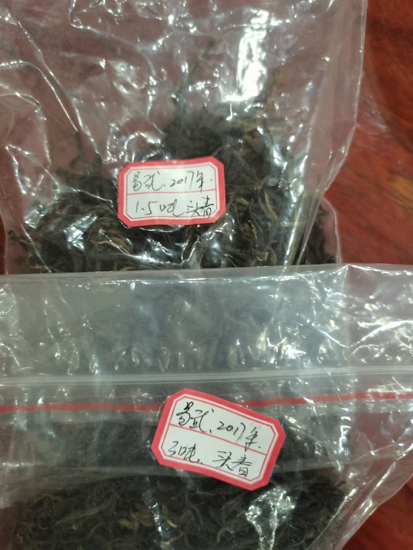 普洱茶生茶大树生茶毛料批发易武料头春，纯料