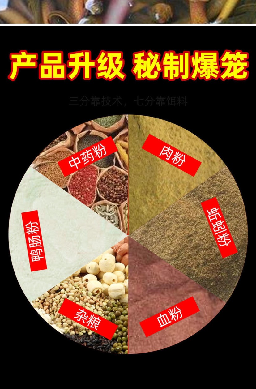 【不爆笼包退】黄鳝龙虾诱饵料虾笼捕鱼笼网抓小龙虾河虾泥鳅鳝鱼