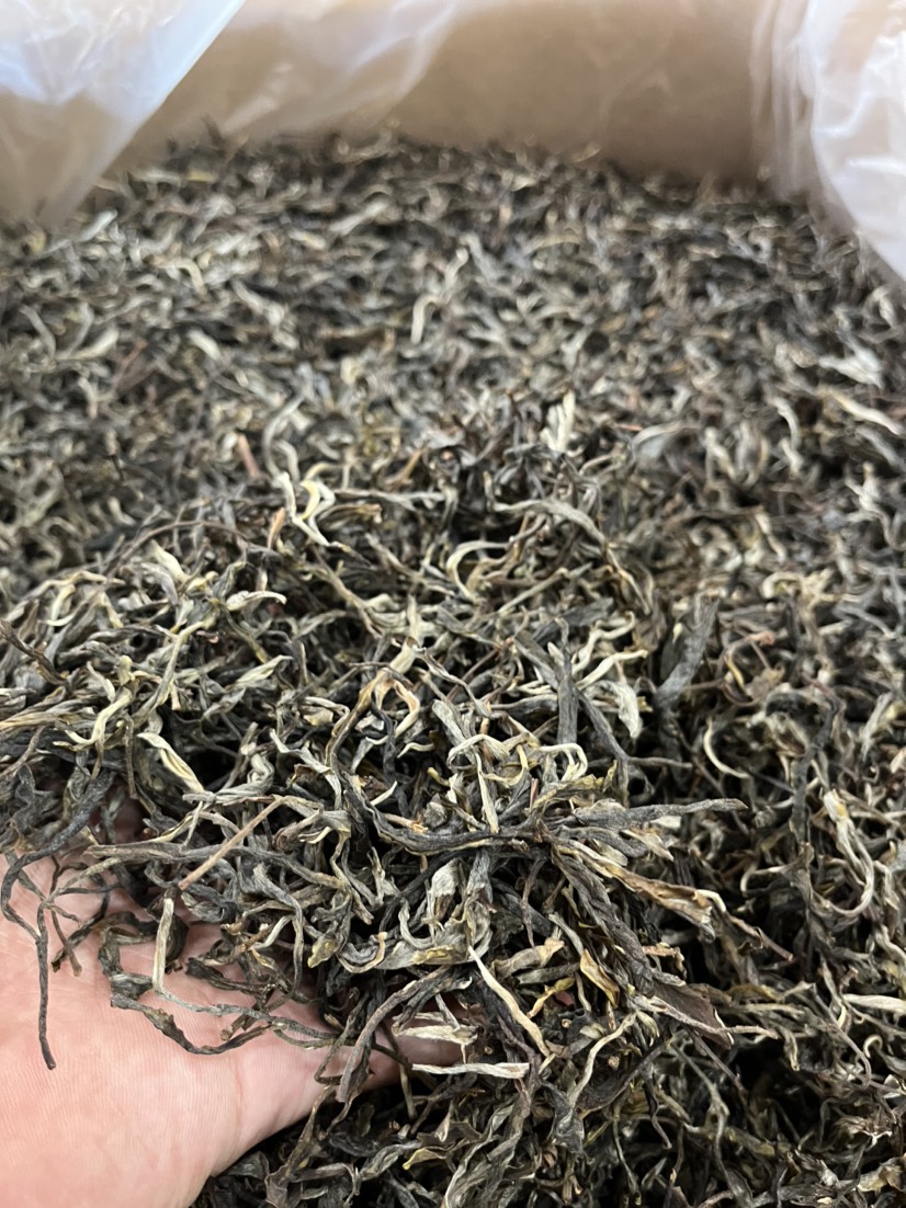 普洱茶生茶大树生茶毛料批发易武料头春，纯料