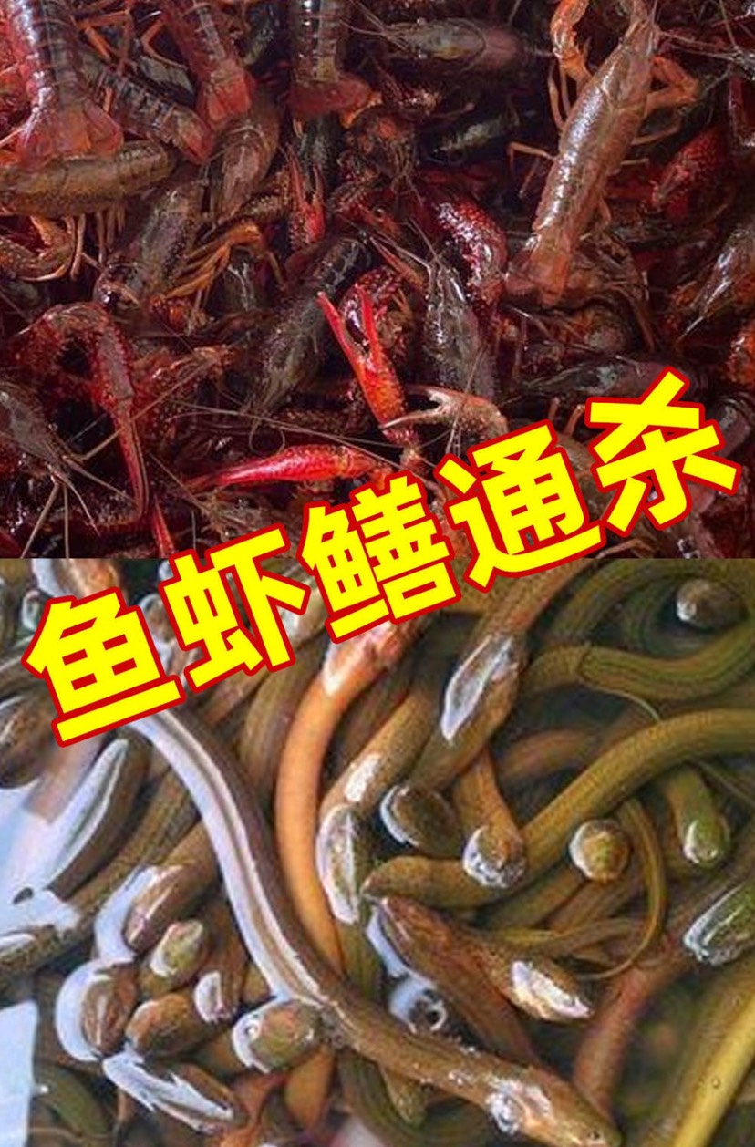 【不爆笼包退】黄鳝龙虾诱饵料虾笼捕鱼笼网抓小龙虾河虾泥鳅鳝鱼