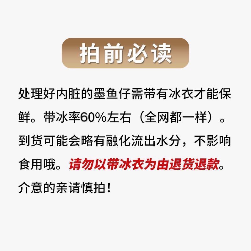 鲜活墨鱼仔冷冻新鲜海兔子墨鱼新鲜海鲜小墨鱼笔管鱼乌贼水产