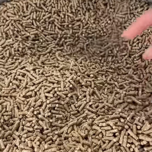 乌中旗纯玉米秸秆熟化草颗粒