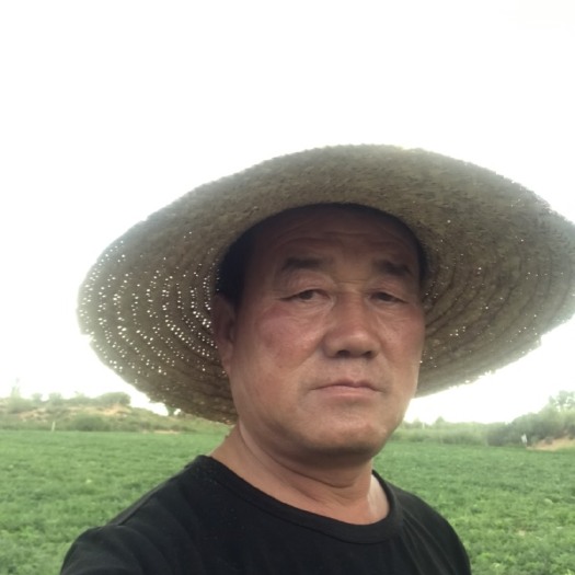 榆林巴拉素沙地西瓜，香甜可口，农户自己家种的，量大优惠。7成瓜