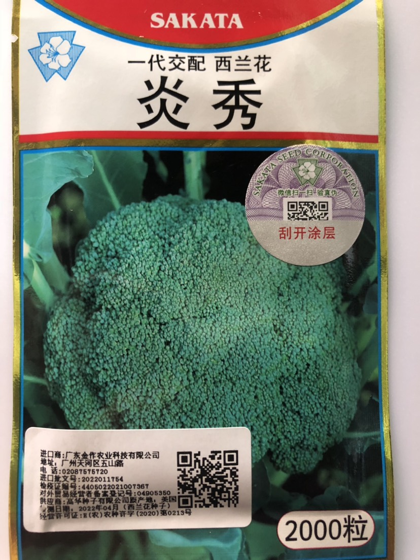 平远县坂田炎秀  先正达蔓陀绿青花菜种子耐热早熟花蕾均匀高球形