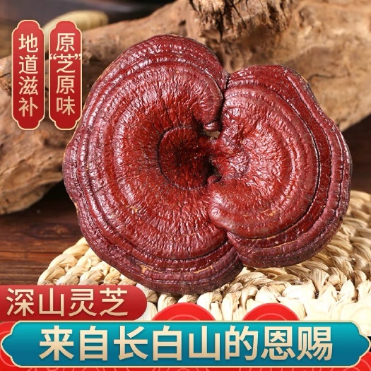 亳州长白山赤灵芝个 红灵芝一手货源 量大从优 全场包邮