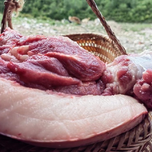 黑猪肉-散养，肉嫩，主食菜叶，一年半张成，每周六日现杀 包邮