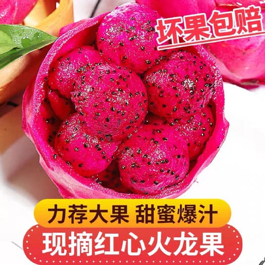 海口【一件代发】海南红心火龙果金都一号蜜宝红肉大果5斤新鲜