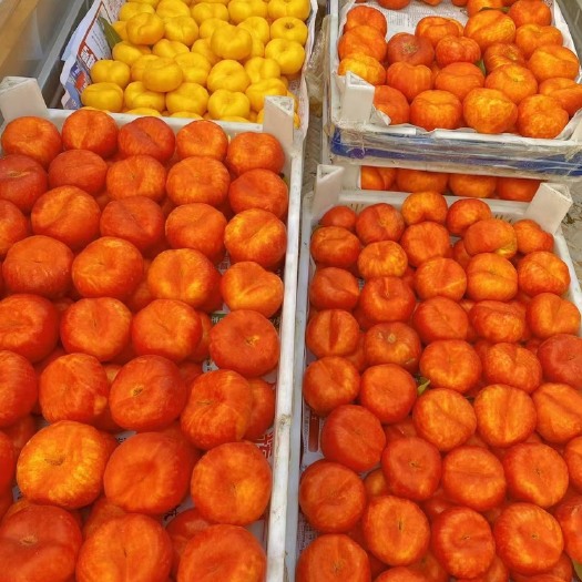 深州市自然成熟 果汁饱满 爽口脆甜
