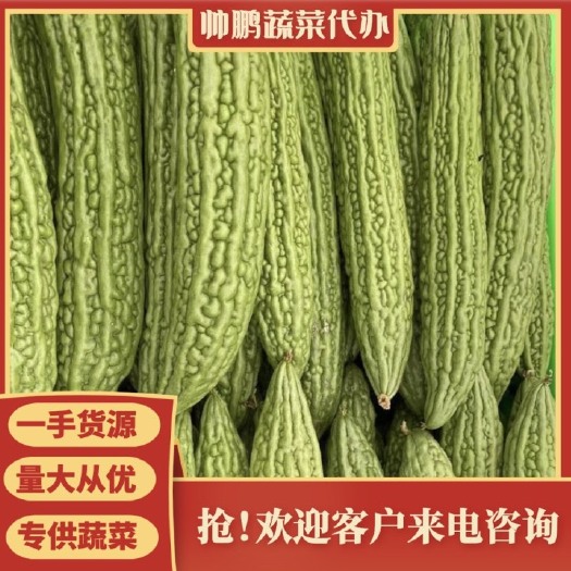 邯郸精品。苦瓜。 超市 食堂。电商。市场。对接