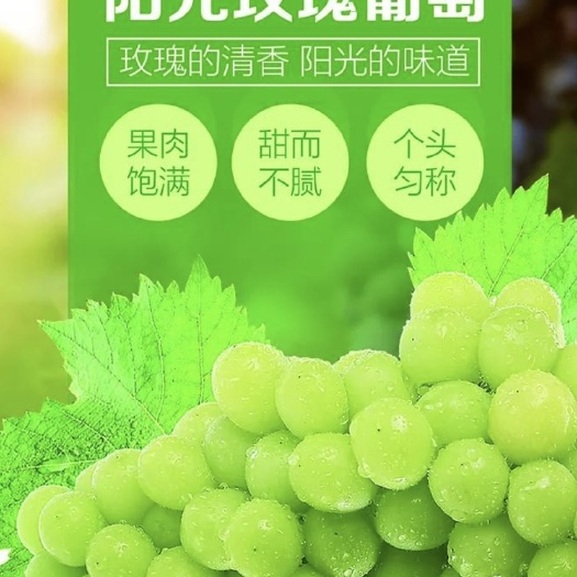 大荔县阳光玫瑰，果肉饱满，甜而不腻，个头匀称