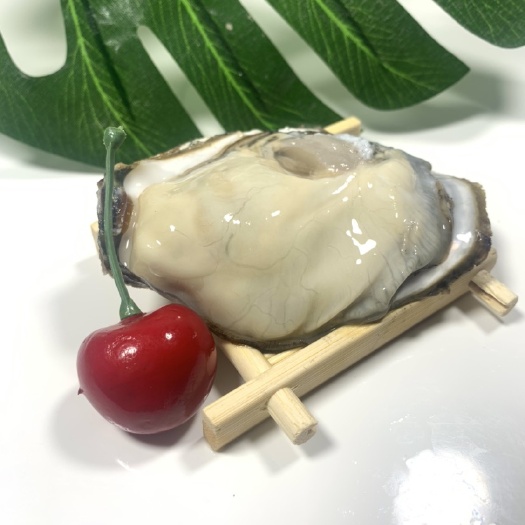 佛山广东三倍体生蚝，台山，新鲜带壳，基地直供烧烤店，全规格货源充