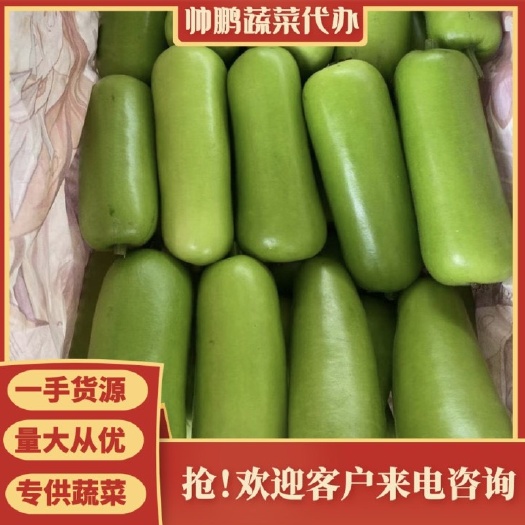 邯郸精品瓠瓜。产地直销供应，超市 市场。电商 一手货源 欢迎洽谈