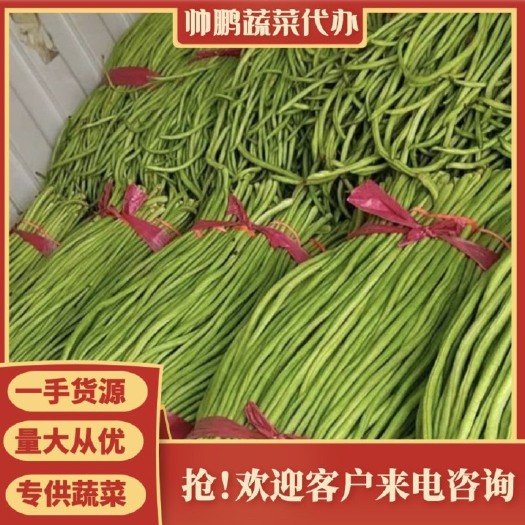 邯郸精品。长豆角。超市。食堂。电商  市场 对接