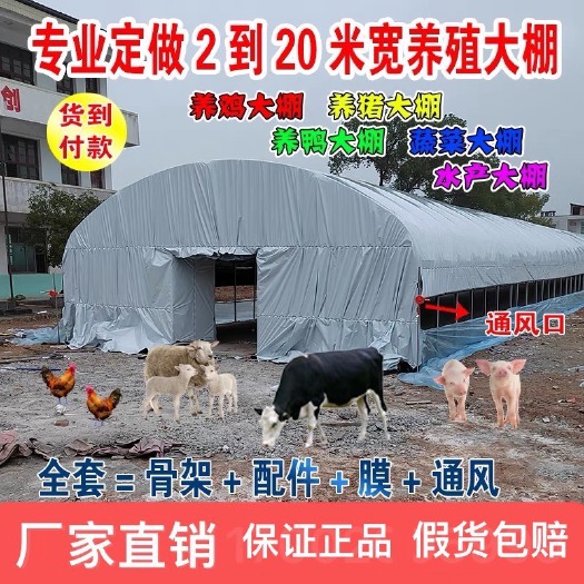 盐城大棚 养殖大棚  蔬菜大棚 外遮阳连栋温室棚 养牛棚 养羊棚