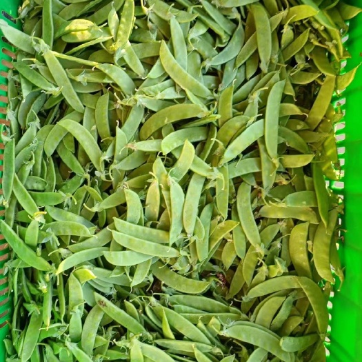 小荷兰豆
