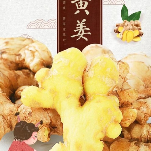 玉林生姜云南小黄姜大黄姜皆有产地直发可以实地看货一件代发