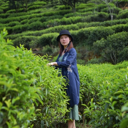 饶平县一款人见人爱，喝了就会喜欢的茶，茶中香水入口茶汤绵滑，花香明