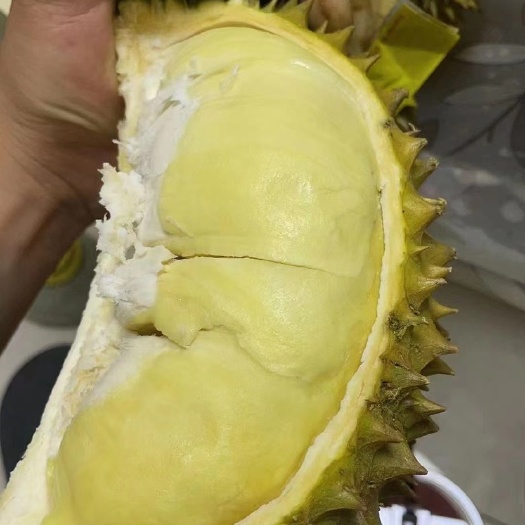 成都泰国金枕榴莲