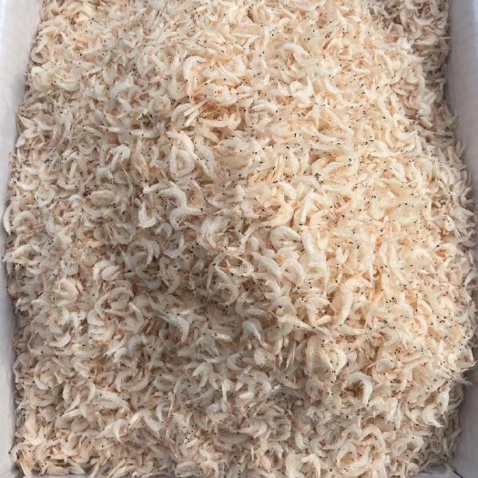 滨州淡干无盐虾皮，个头大，干净卫生，原产地批发大量有货
