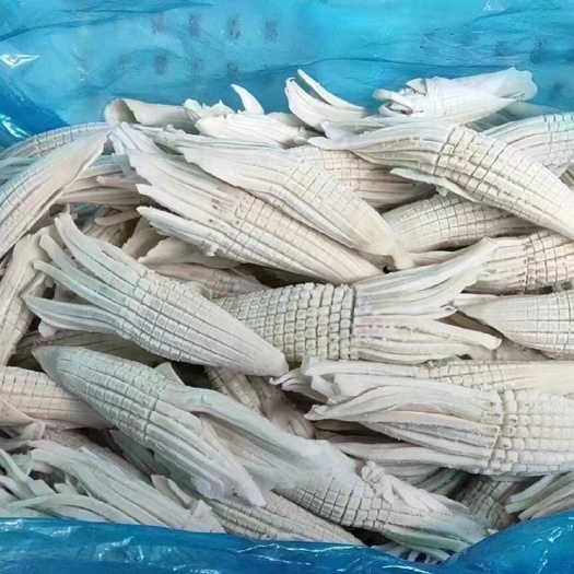 重庆市网红火箭鱿鱼