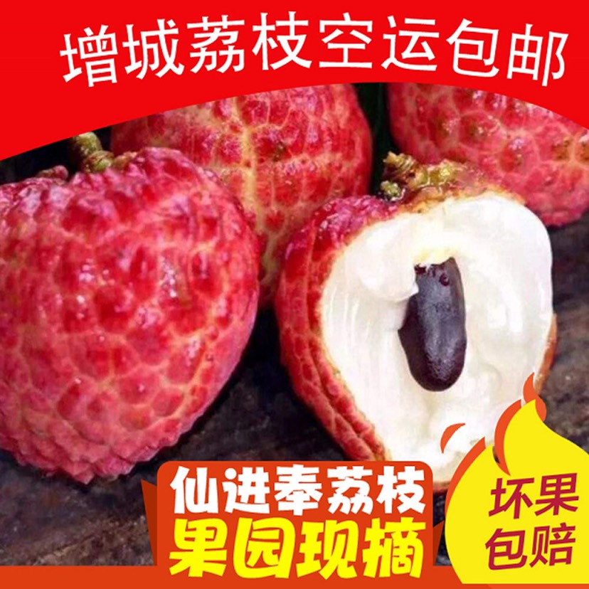 广东增城仙进奉荔枝新鲜5斤/10斤装现摘现发小核水果整箱空运