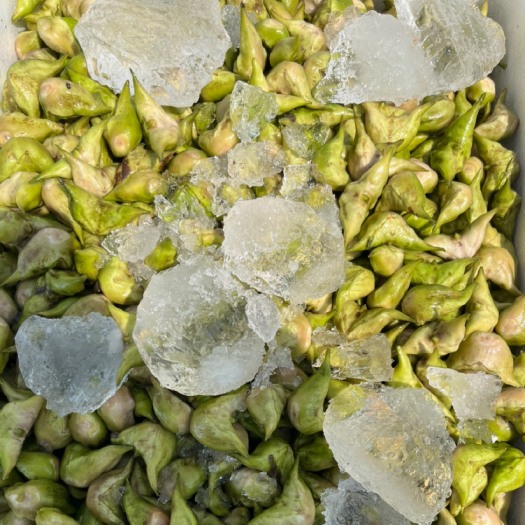 泰州菱角，老菱，菱米，大量批发