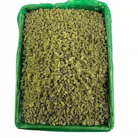 沧县葡萄干小珍珠奶茶专用食品添加专用干净免洗葡萄干厂家直销批发