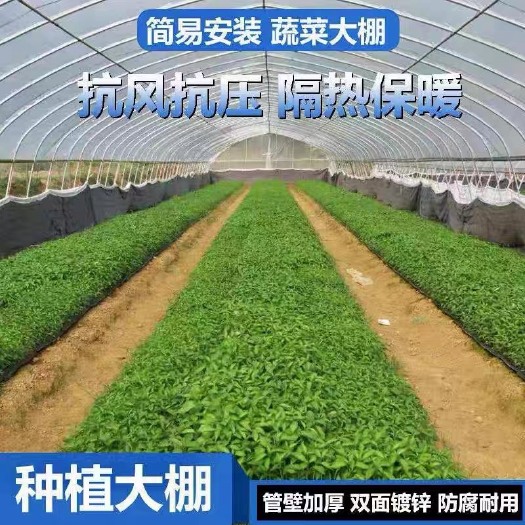 天津种植大棚，养殖大棚，温室大棚