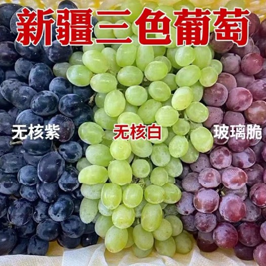 嘉兴新疆吐鲁番三色葡萄，今年爆款，网红款，花一份钱，吃遍吐鲁番