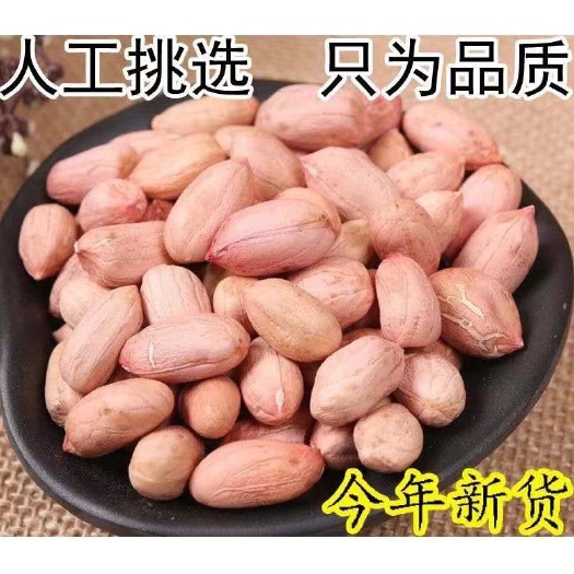 清丰县农家自产手工挑选￼花生米可做种子