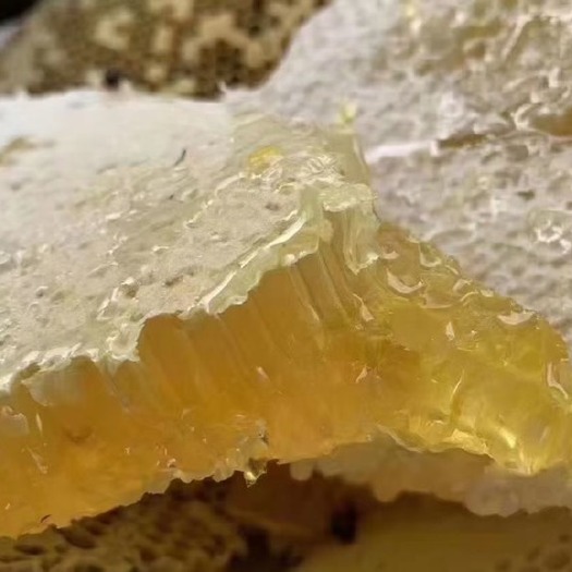 将乐县真正的土蜂蜜。爸妈养的辛苦，帮助卖一点。