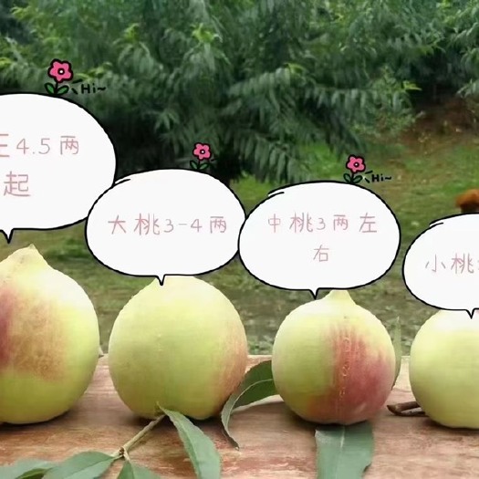 连平县鹰嘴水蜜桃，属于毛桃的一种，有养颜美容的作用