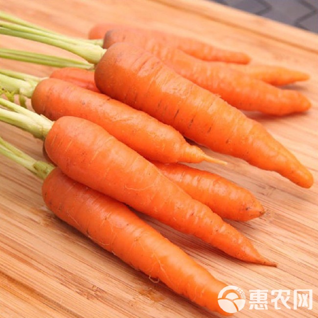 小胡萝卜种子 农田菜园可盆栽嫩脆小手指拇指水果胡萝卜蔬菜籽