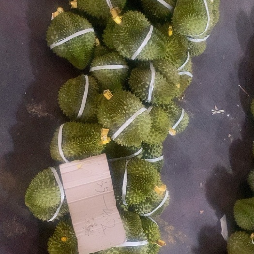 昆明泰国空运金枕榴莲一件代发品质保证