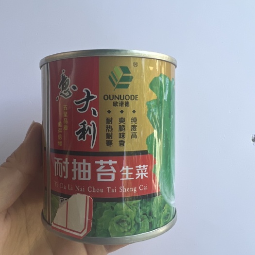 华容县意大利耐抽苔中早熟散叶生菜种子耐热耐寒爽脆无苦味叶色翠绿