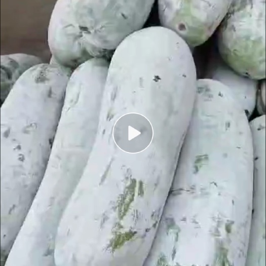 绍兴有需要的老板联系我吧 可天天供货