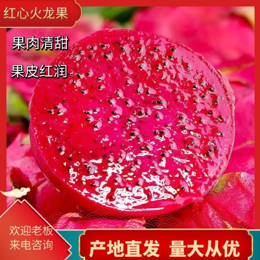 遂溪县湛江，产地直销火龙果多样品种，需要的来谈价格优惠以诚信经营