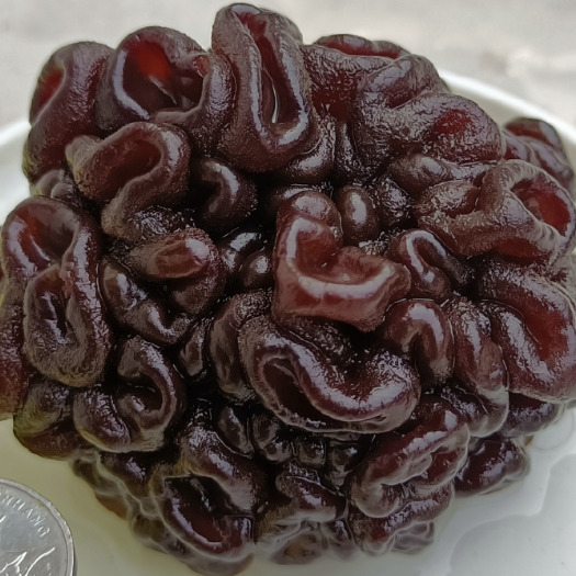 鱼台县猴脑菇核桃菌玛咖菌玛卡菌500g开始邮寄干玛卡菌松花菌鹿茸菌