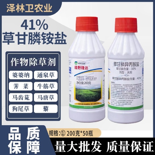 辛集市41%草甘膦除草剂灭草剂死草瓶装草甘膦异丙胺盐批发整箱优惠